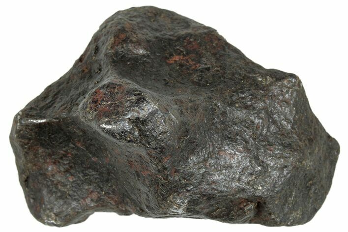 Canyon Diablo Iron Meteorite ( g) - Arizona #303463